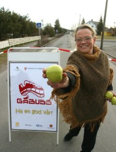 Figur 4. Aktivitet fra Fredrikstads Gåbuss kampanje.