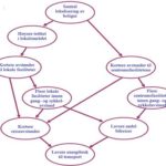 et diagram med en mengde tekstbobler og piler og sammen omhandler lokalisering av arbeidsplasser og boliger.