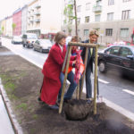Fotografi av tre personer som planter et løvtre ved siden av en trafikkert bygate.