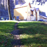 en sti over en gressplen