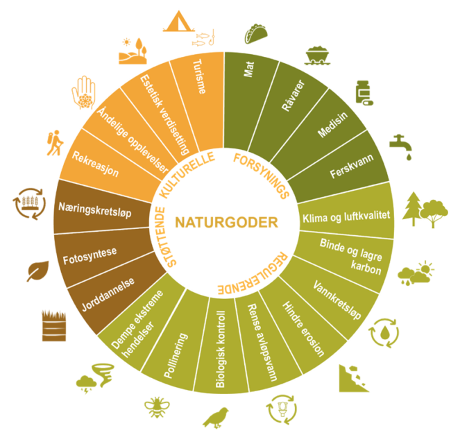 kakediagram med Naturgoder organisert i 4 hovedkategorier med underkategorier : Forsynings (mat, råvarer, medisin, ferskvann), Regulerende (Klima og luftkvalitet, Binde og lagre karbon, Vannkretsløp, Hindre erosjon, Rense avløpsvann, Biologisk kontroll, Pollinering, Dempe ekstreme hendelser), Støttende (Jorddannelse, Fotosyntese, Næringskretsløp) og Kulturelle (Rekreasjon, Åndelige opplevelser, Estetisk Verdisetting, Turisme). 