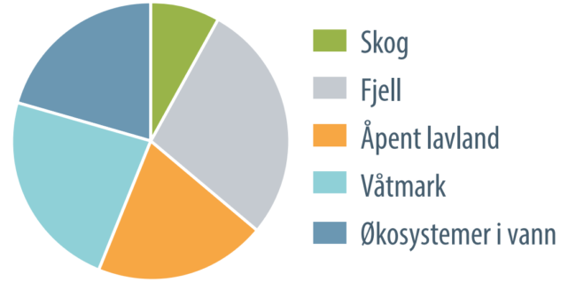 Kakediagram (ca-verdier): Skog 10%, Fjell (25%+), Åpent lavland (20%), Våtmark (25%-), Økosystemer i vann (20%)