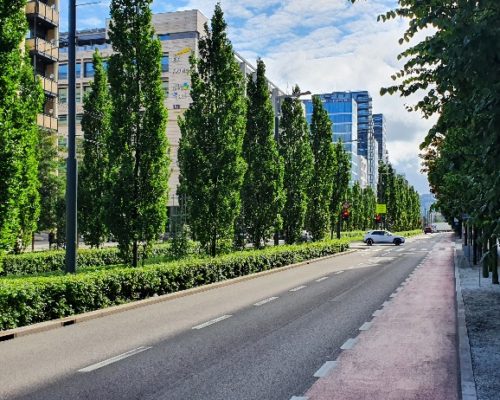 Fotoet viser grønne løvtrær langs gate og trikkelinjer i Oslo.