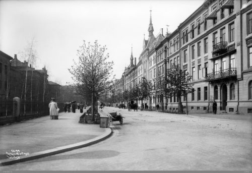 : Fotografiet viser et svarthvitt bilde av Bygd&oslash;y alle, da tr&aelig;rne var forholdsvis nyplantede.