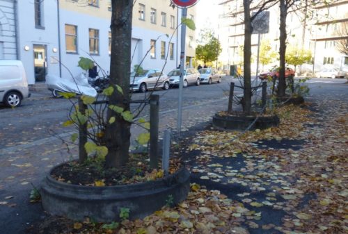 Fotoet viser tre tr&aelig;r som er plantet i plantekummer. Tr&aelig;rne st&aring;r i en bygate.