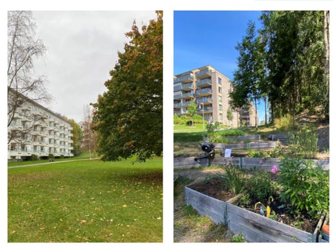 De to fotoene viser begge blokkbebyggelse med grønne uteområder, men det ene uteområdet har få trær og plen og det andre har dyrkekasser og et skogholt.